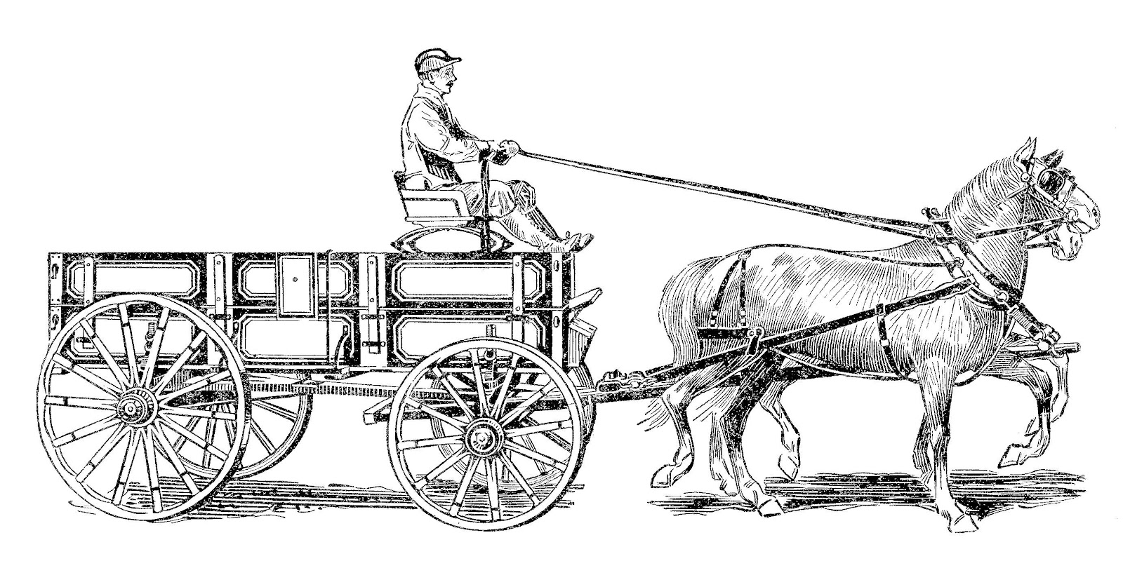 horses and wagon (350K)